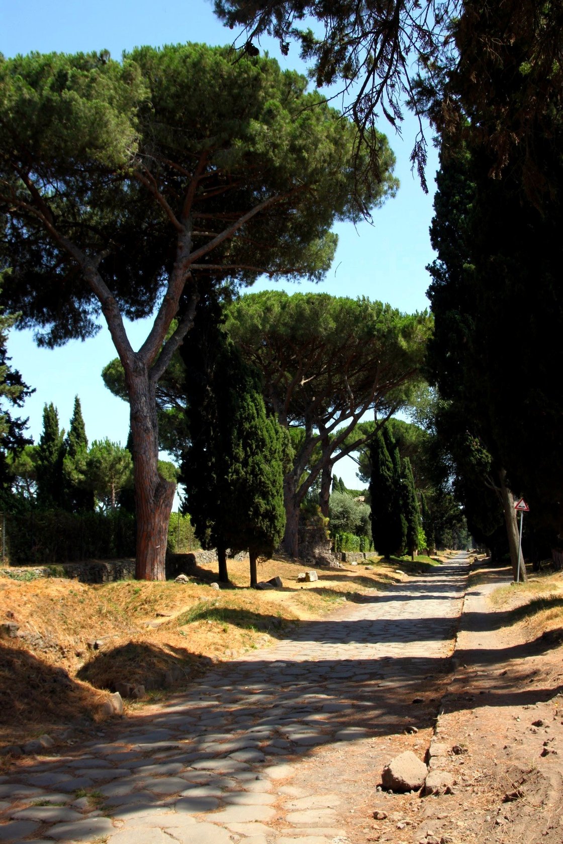 Cycling the Via Appia